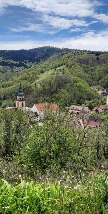 Gite A Andlau Kültér fotó